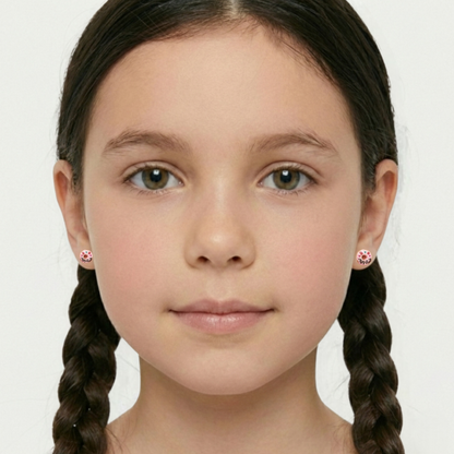 Aretes de Dona
