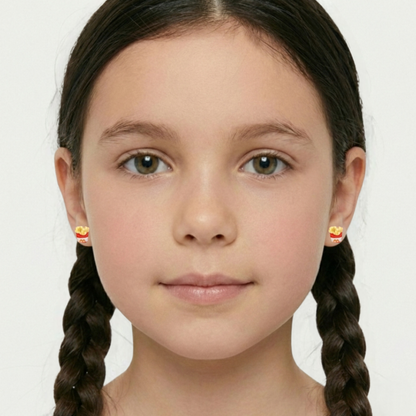Aretes Comida Rapida